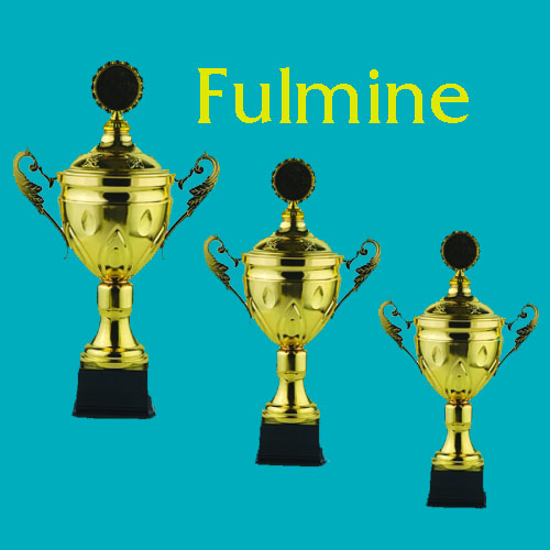 img/fa 2023 42,5 cm 40 cm 35 cm.jpg